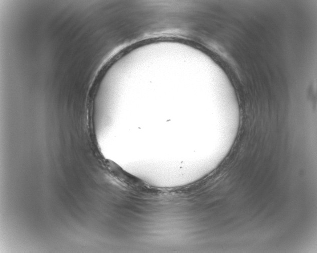 X0000065241316200603172128