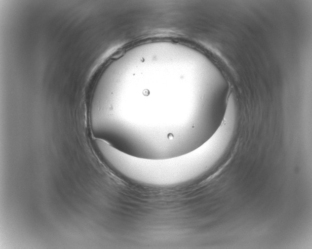 X0000065241317200603172128