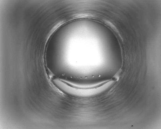 X0000065241330200603172128