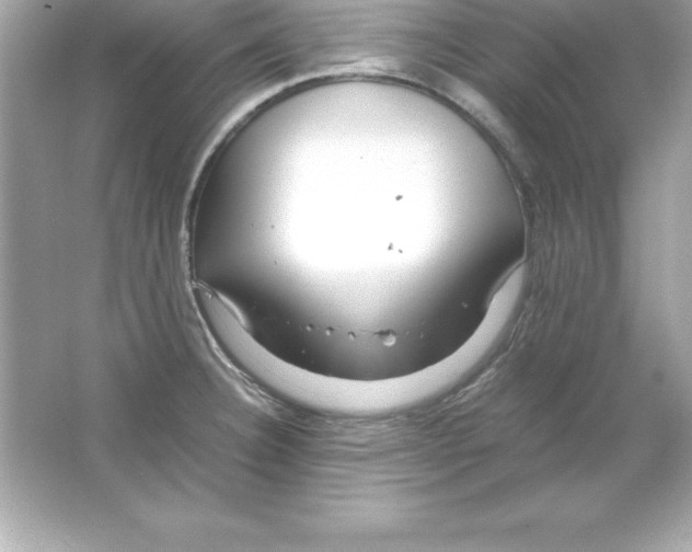 X0000065241332200603172128