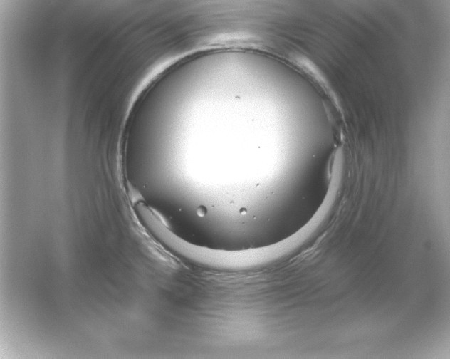 X0000065241336200603172128