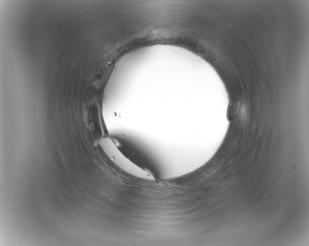 X0000065241348200603172127