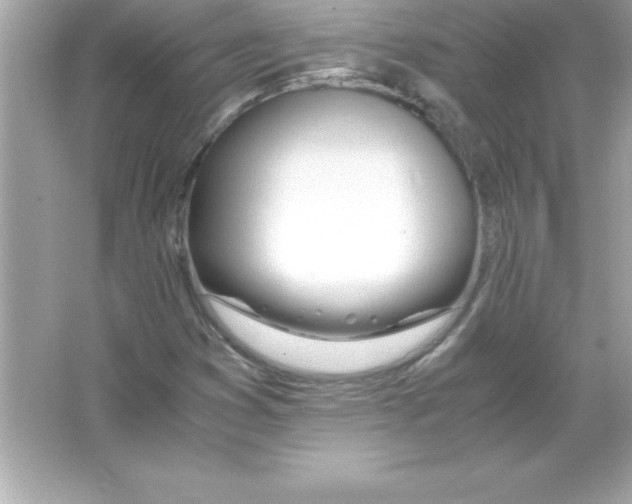 X0000065241353200603172127