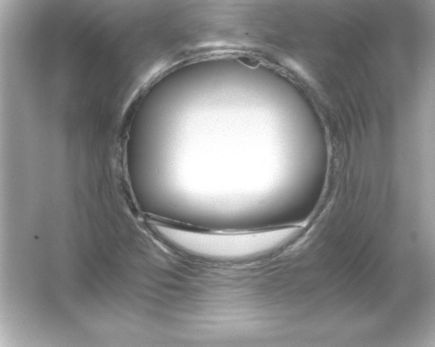 X0000065241357200603172127