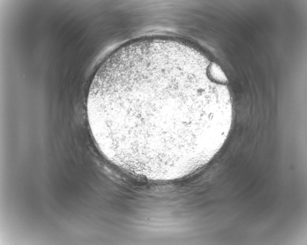 X0000065241363200603172127