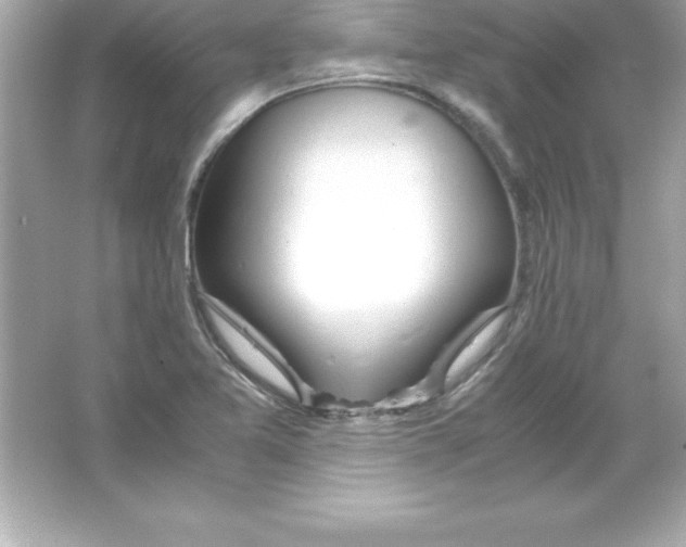 X0000065241365200603172127
