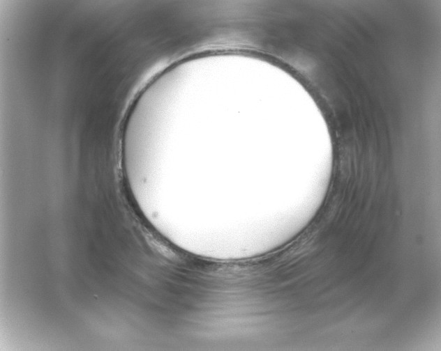 X0000065241366200603172127