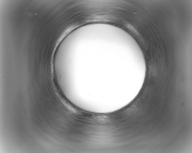 X0000065241370200603172127