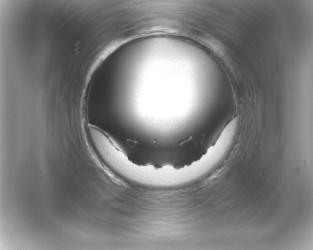 X0000065241373200603172127