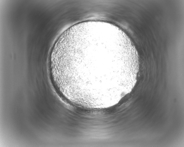 X0000065241375200603172127