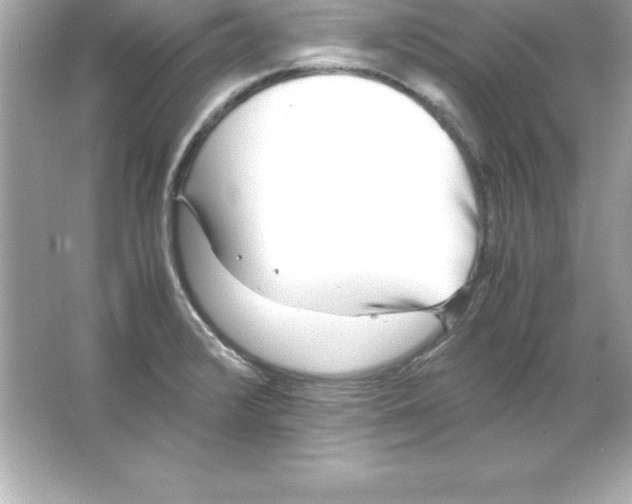 X0000065241376200603172127