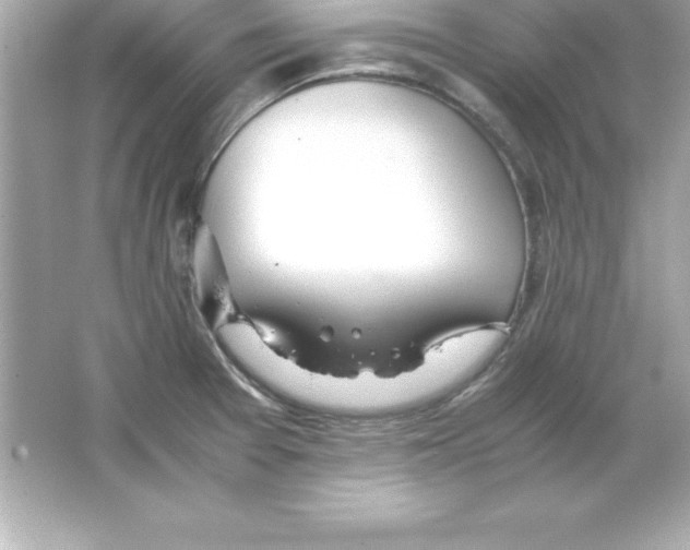 X0000065241377200603172127
