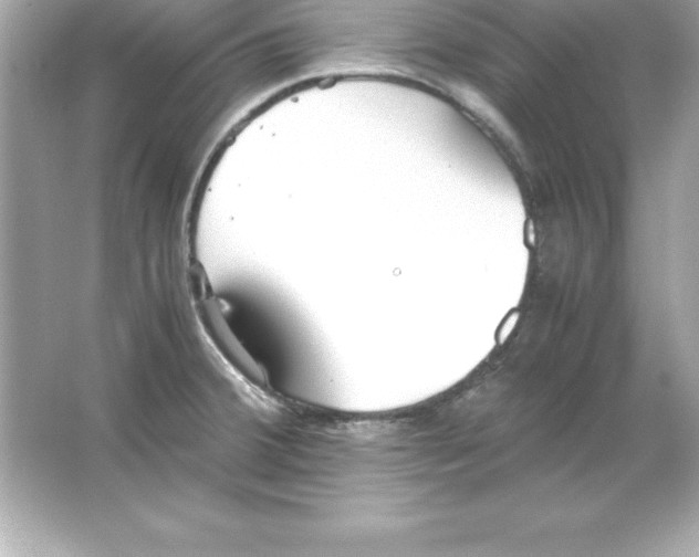 X0000065241380200603172127