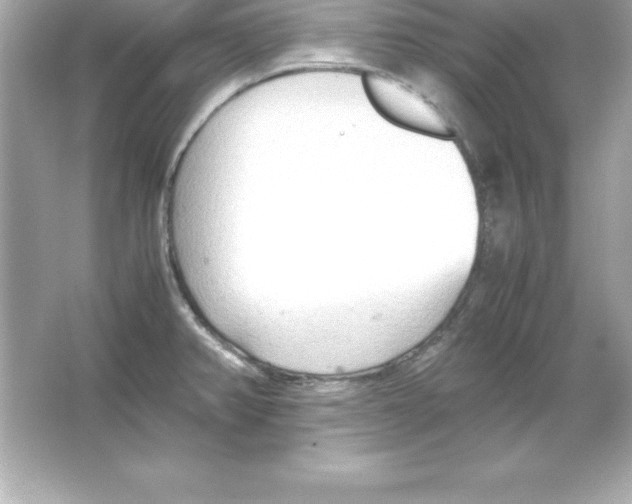 X0000065241382200603172127