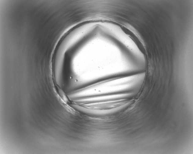 X0000065241388200603172127