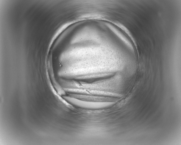 X0000065241389200603172127