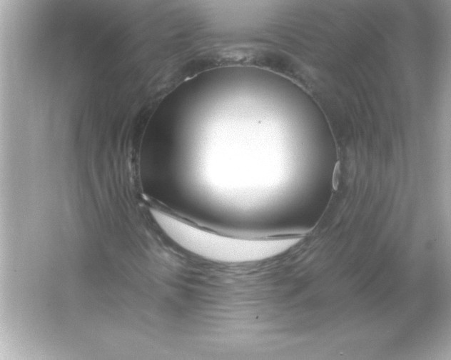 X0000065241394200603172126