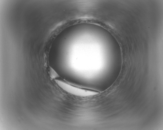 X0000065241398200603172126