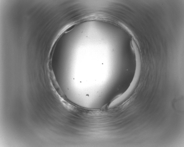X0000065241434200603172127