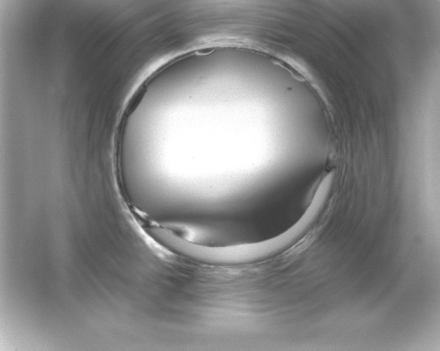 X0000065241438200603172127