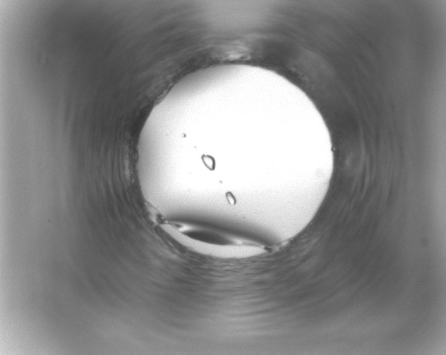 X0000065241442200603172126