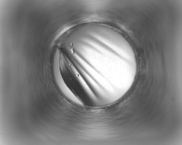 X0000065241453200603172126