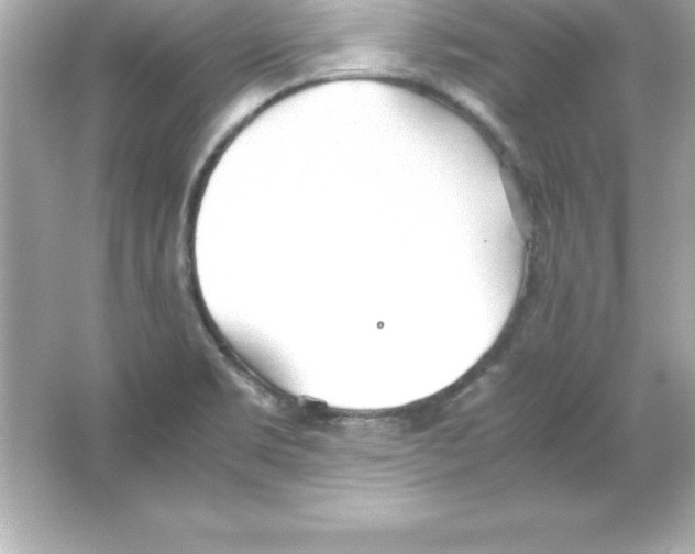 X0000065241469200603172125