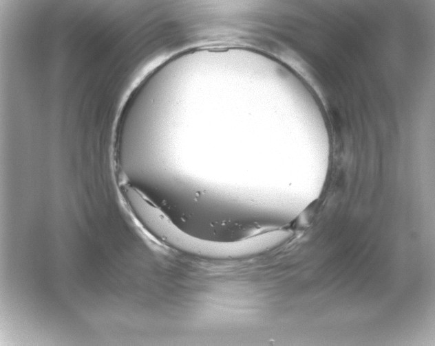 X0000065241485200603172125