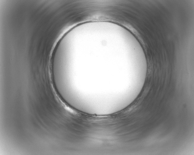 X0000065241486200603172125