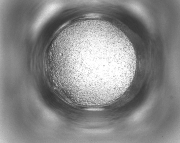 X0000065241487200603172125