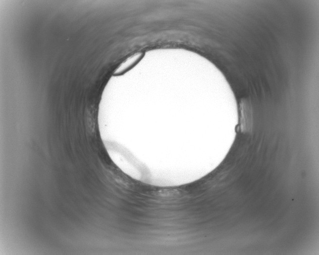 X0000065241491200603172124