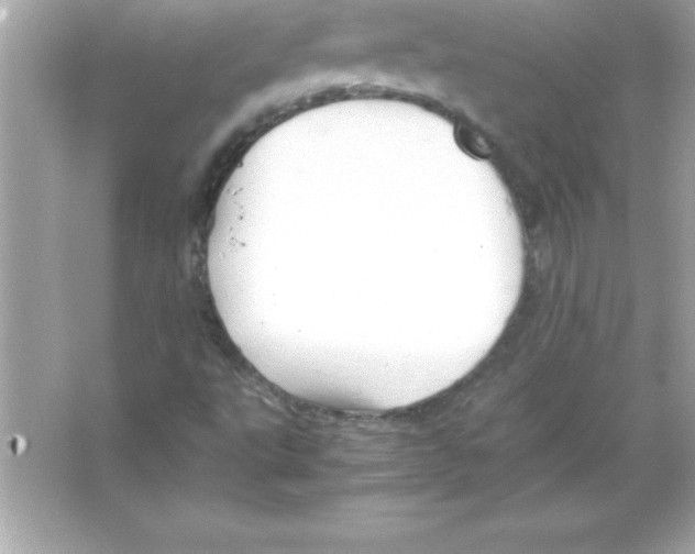 X0000065241495200603172124