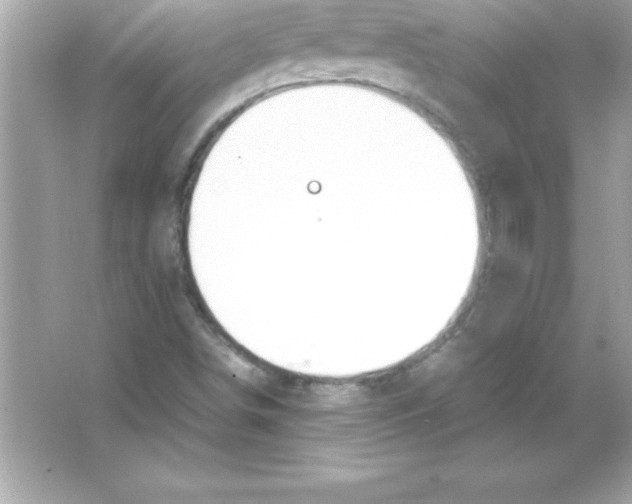 X0000065241498200603172124