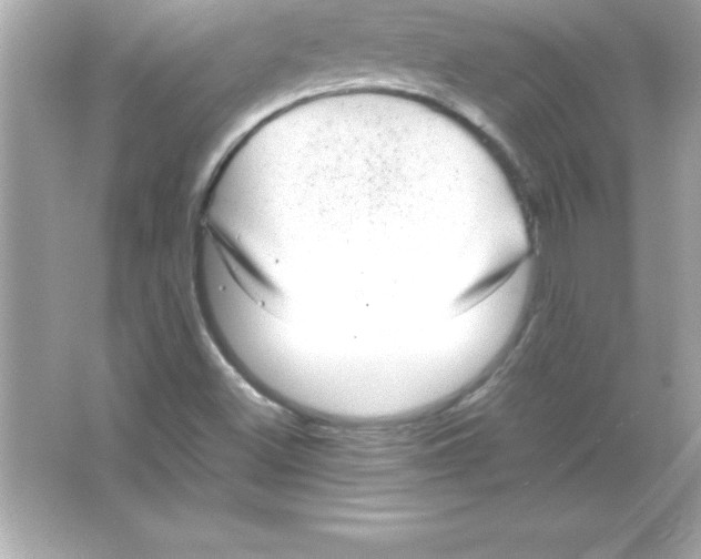 X0000065241500200603172124