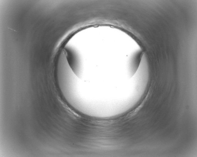 X0000065241502200603172124