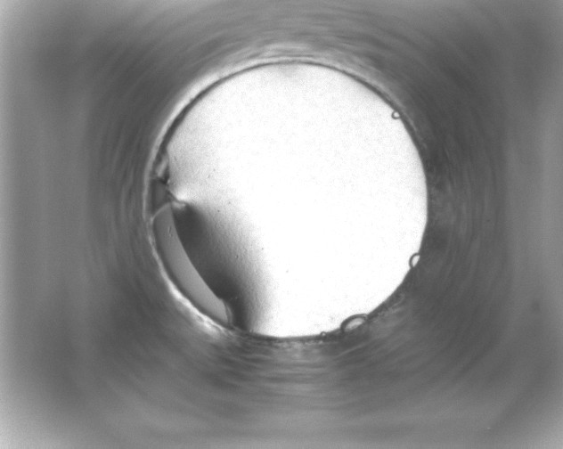 X0000065241527200603172125