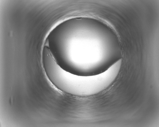 X0000065241528200603172125