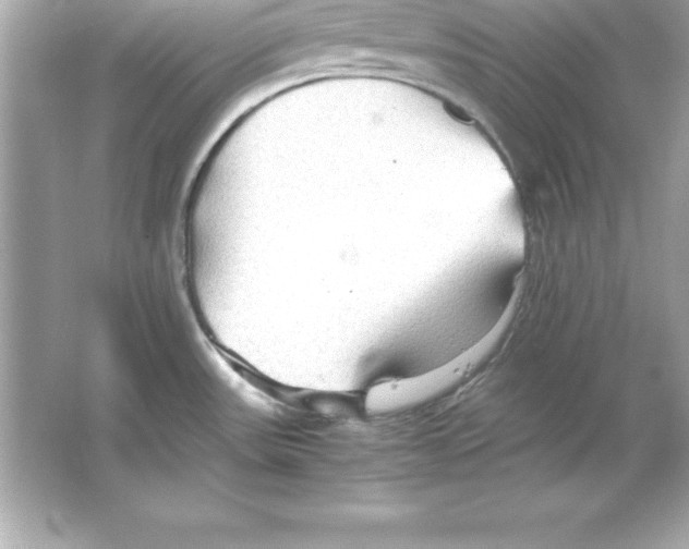 X0000065241531200603172125