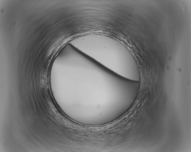 X0000065250002200602170942