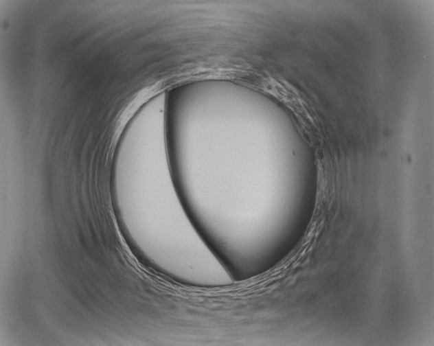 X0000065250003200602170942