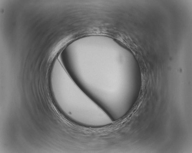 X0000065250005200602170941