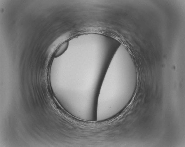 X0000065250006200602170941