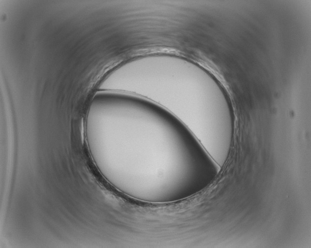 X0000065250013200602170941