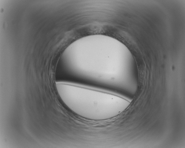 X0000065250035200602170941