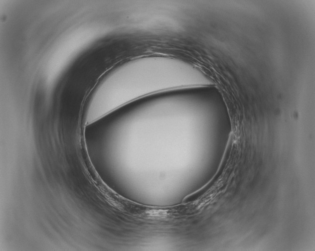 X0000065250052200602170940