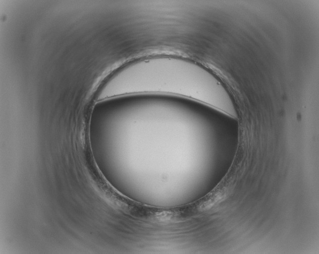X0000065250064200602170940