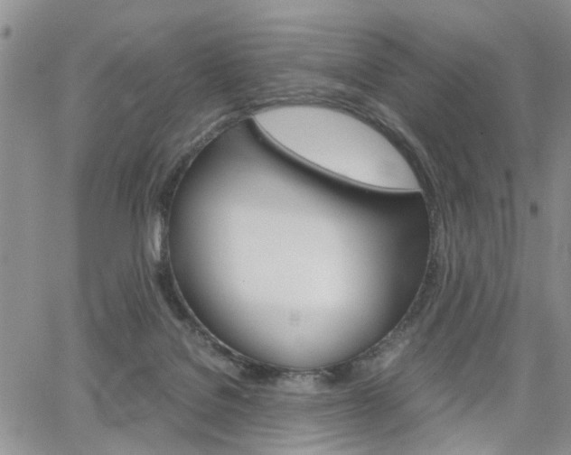 X0000065250076200602170940
