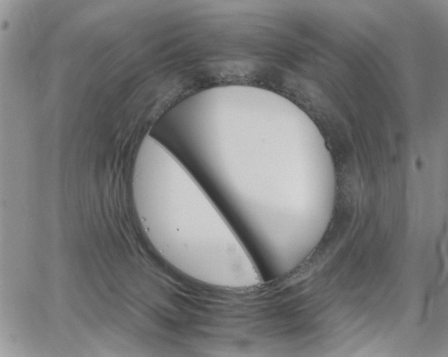 X0000065250083200602170941