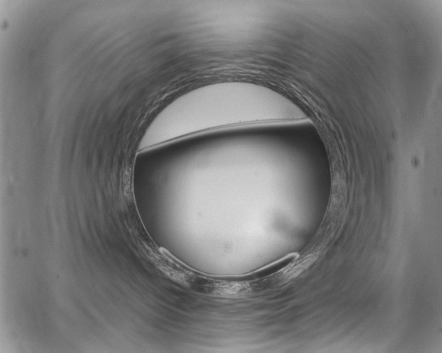 X0000065250096200602170941