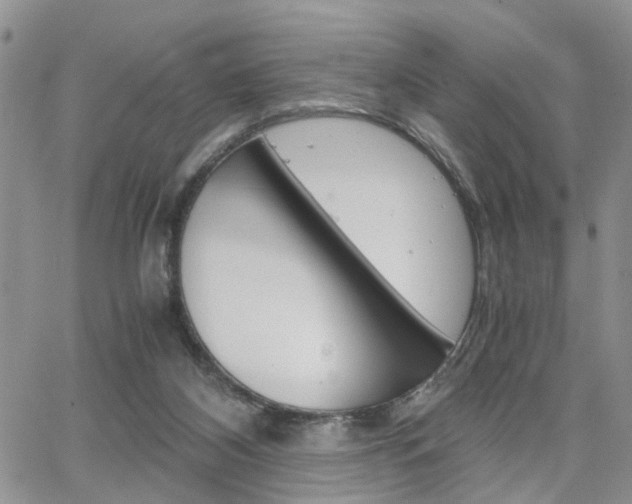 X0000065250116200602170940